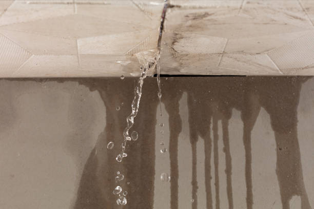 Professional Water Damage Repair technician working in Rice, WA